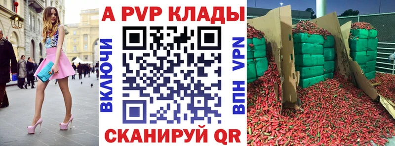 А ПВП СК  Кашин 
