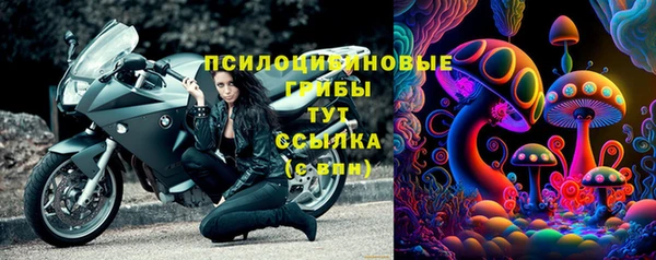 стаф Алексеевка
