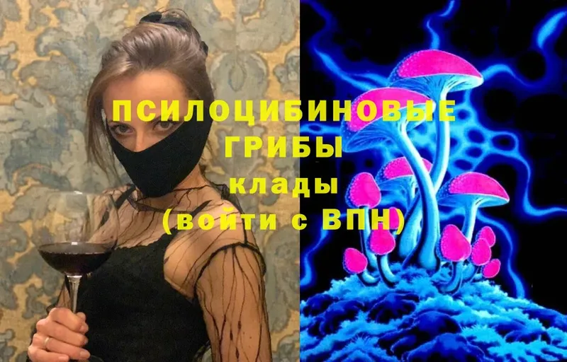 сколько стоит  Кашин  Галлюциногенные грибы Psilocybe 